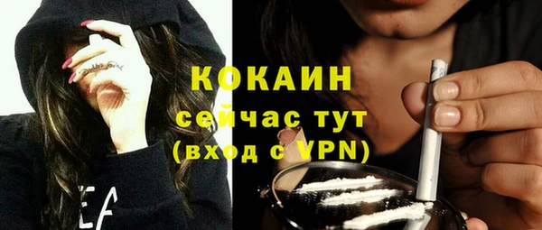 гидра Осинники
