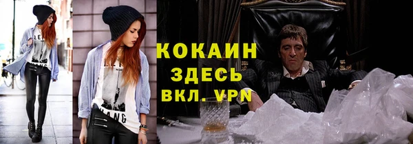 гидра Осинники