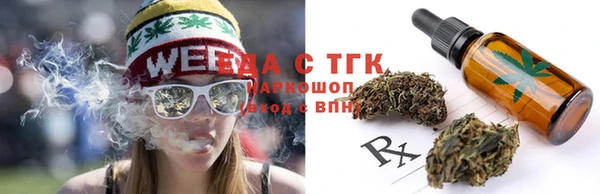 гидра Осинники
