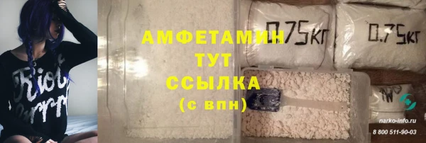 гидра Няндома