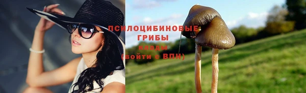 гидра Няндома