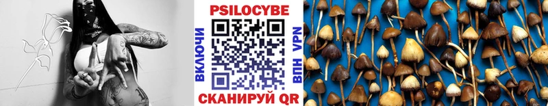 Галлюциногенные грибы Psilocybe  что такое наркотик  Подпорожье 